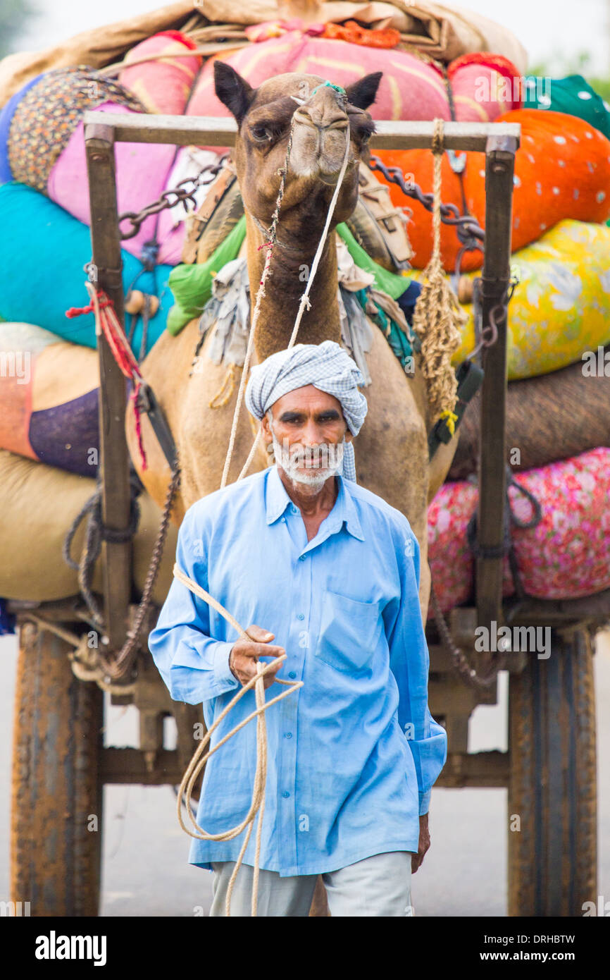 Carro de camellos en Rajasthan, India Foto de stock