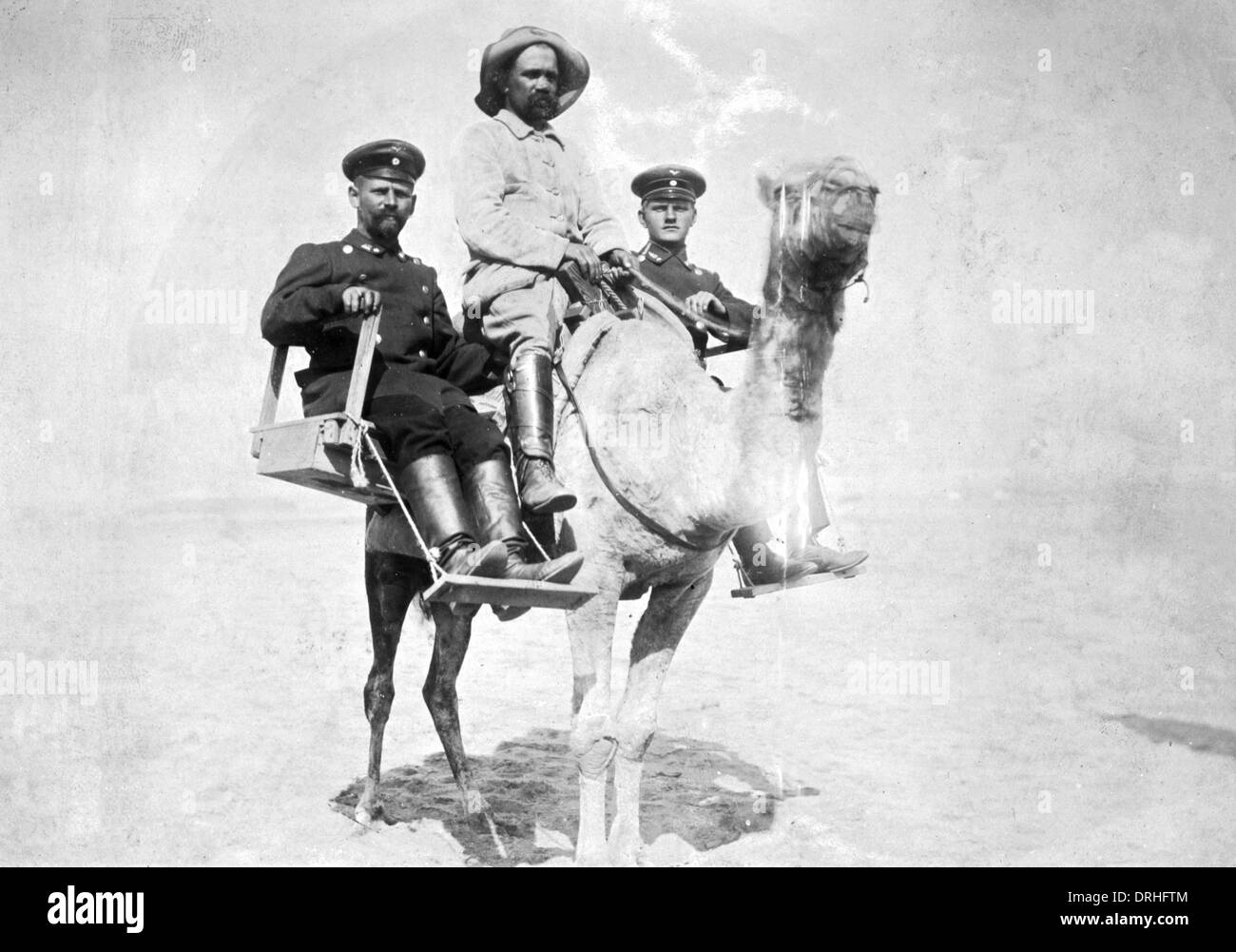 Soldados alemanes sobre un camello, África Sudoccidental, WW1 Foto de stock
