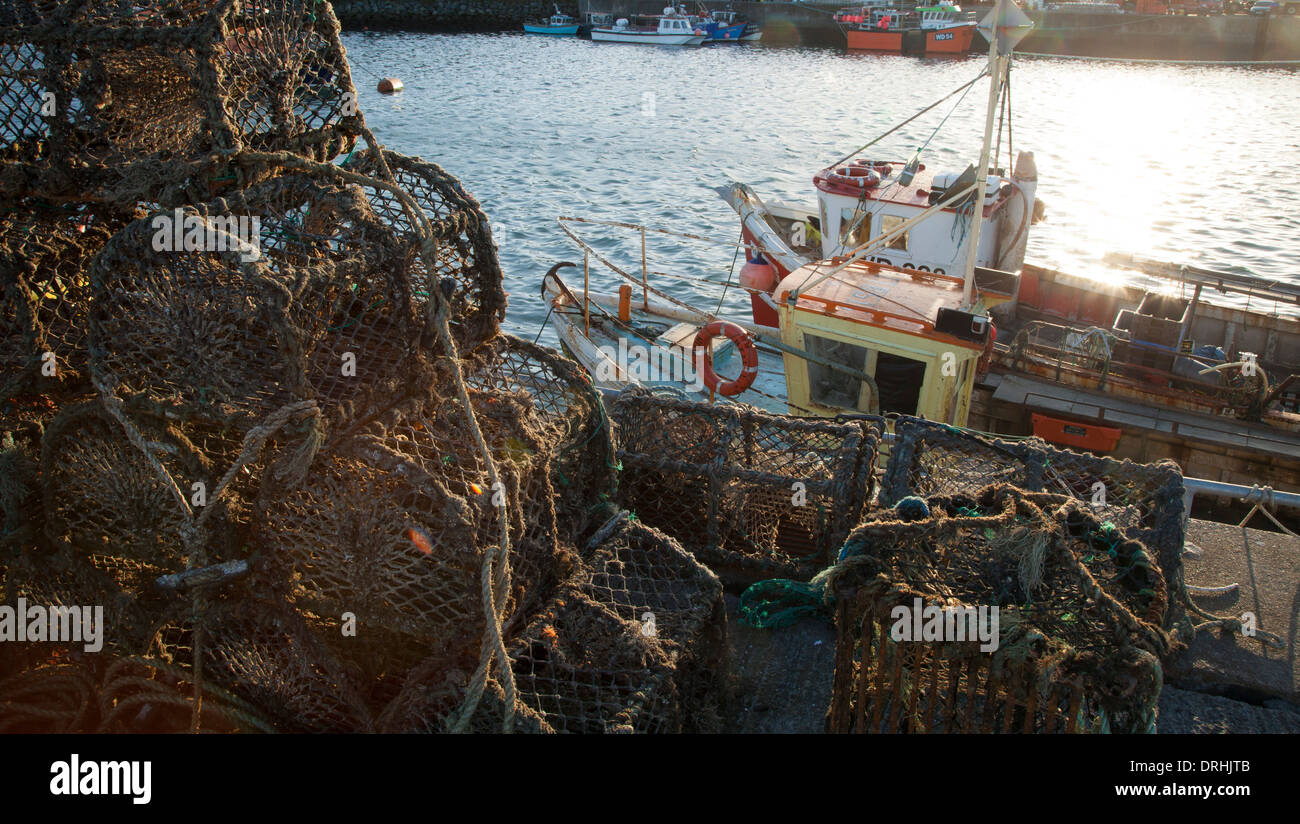Barcos de pesca de langosta y ollas de Howth Harbor, Condado de Dublín, Irlanda. Foto de stock