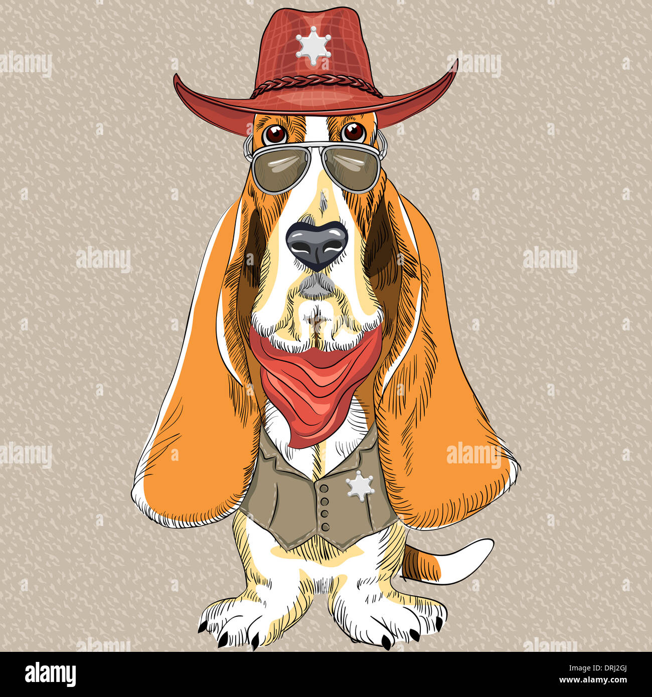 Hipster perro Basset Hound raza ropa sheriff en un sombrero, gafas y un  chaleco con una estrella Fotografía de stock - Alamy