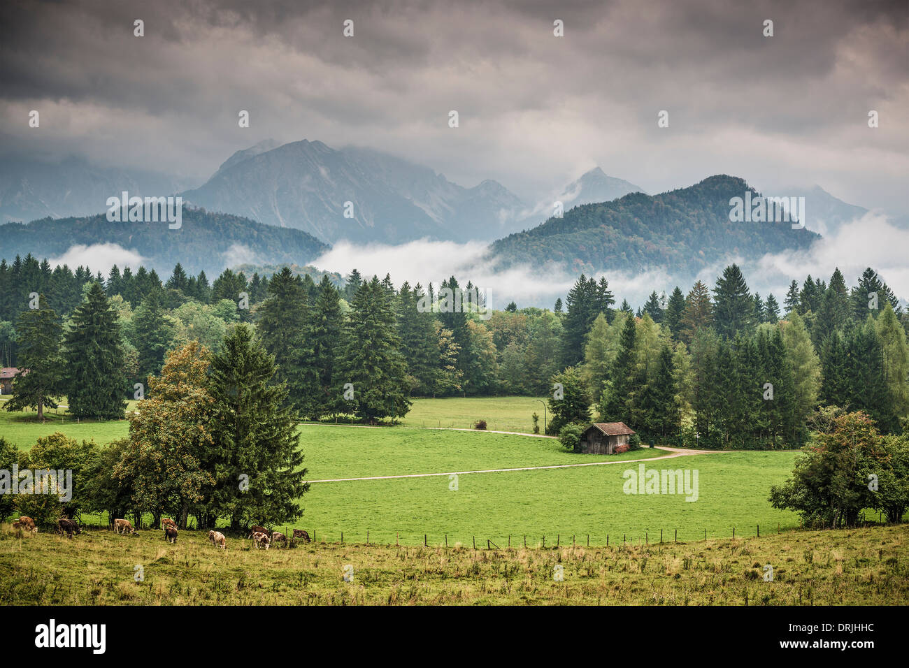 Tierras agrícolas en los Alpes bávaros. Foto de stock