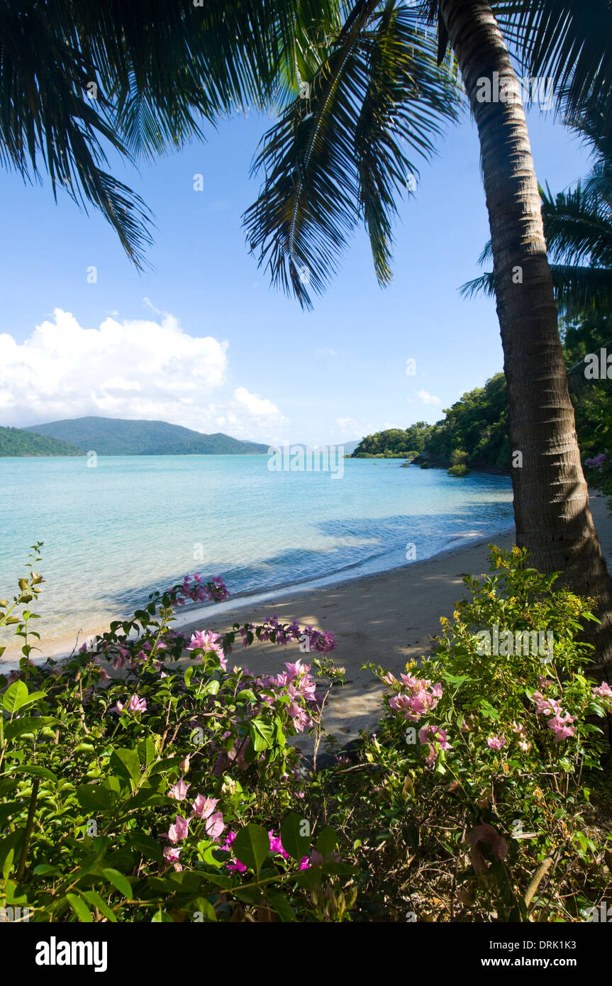 Long Island, Whitsundays, la Gran Barrera de Coral, Queensland, Queensland, GBR, Australia Foto de stock