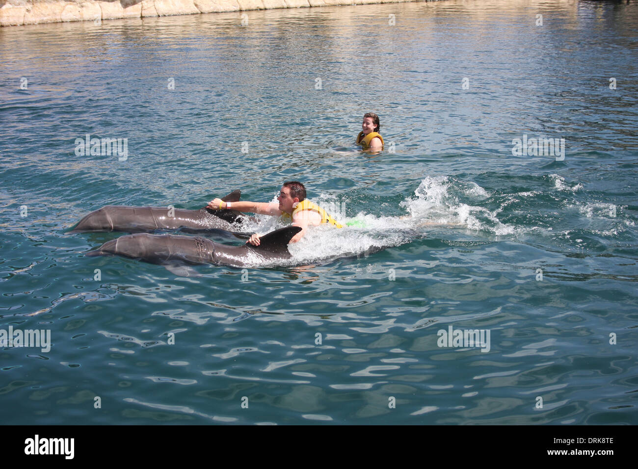 Realización de Delfines entrenados que muestra al Océano Palabra en Puerto Plata, República Dominicana. Foto de stock