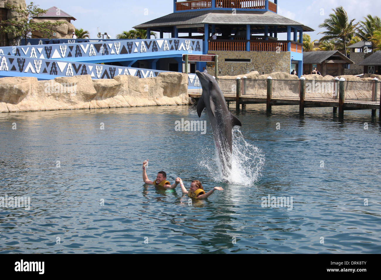 Realización de Delfines entrenados que muestra al Océano Palabra en Puerto Plata, República Dominicana. Foto de stock