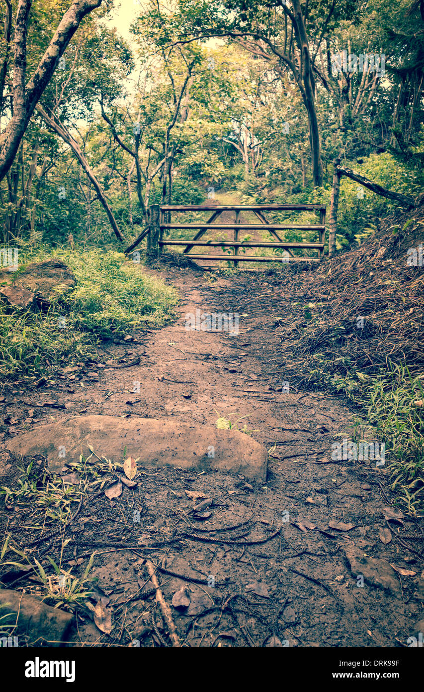 Un sendero de la selva tropical de barro que conduce a una puerta en la distancia. Foto de stock