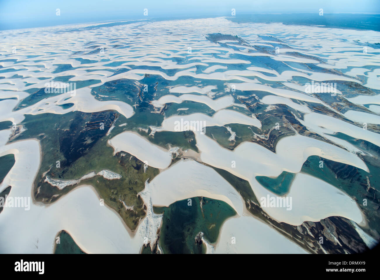 Los estanques de agua de lluvia atrapada en dunas blancas, Lencois Maranhenses National Park, el Brasil, el Océano Atlántico Foto de stock
