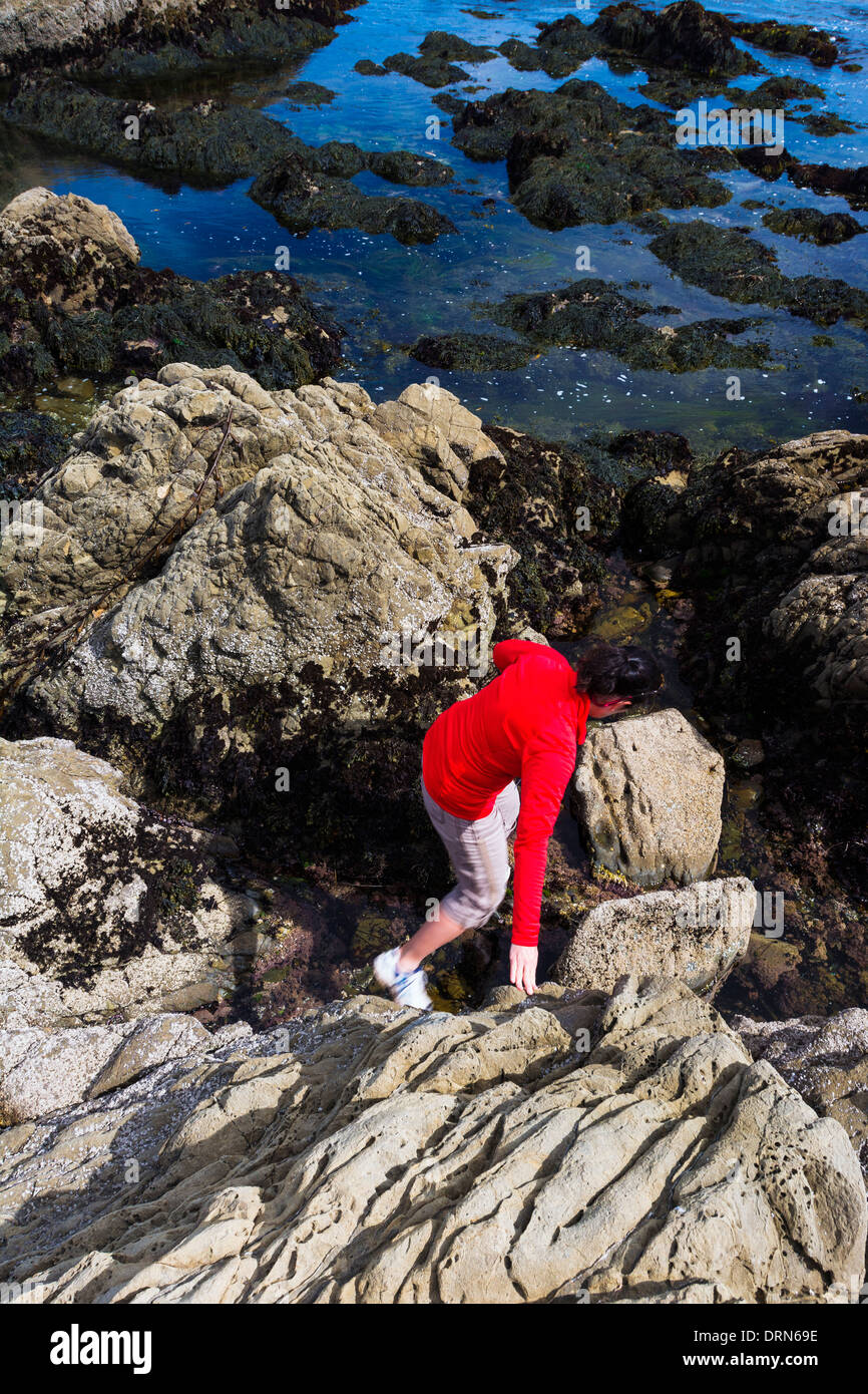 Mujer explorar las pozas de marea en el Estero Bluffs State Park, Cayucos, California, EE.UU. Foto de stock