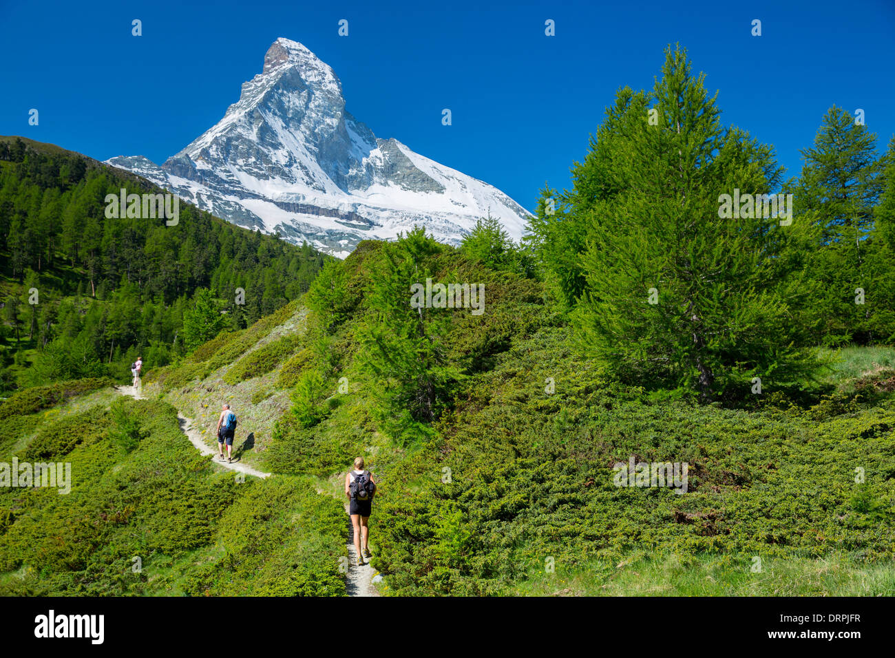 Excursionistas en la ruta de senderismo por debajo de la montaña Matterhorn, en los Alpes Suizos, cerca de Zermatt, Suiza Foto de stock