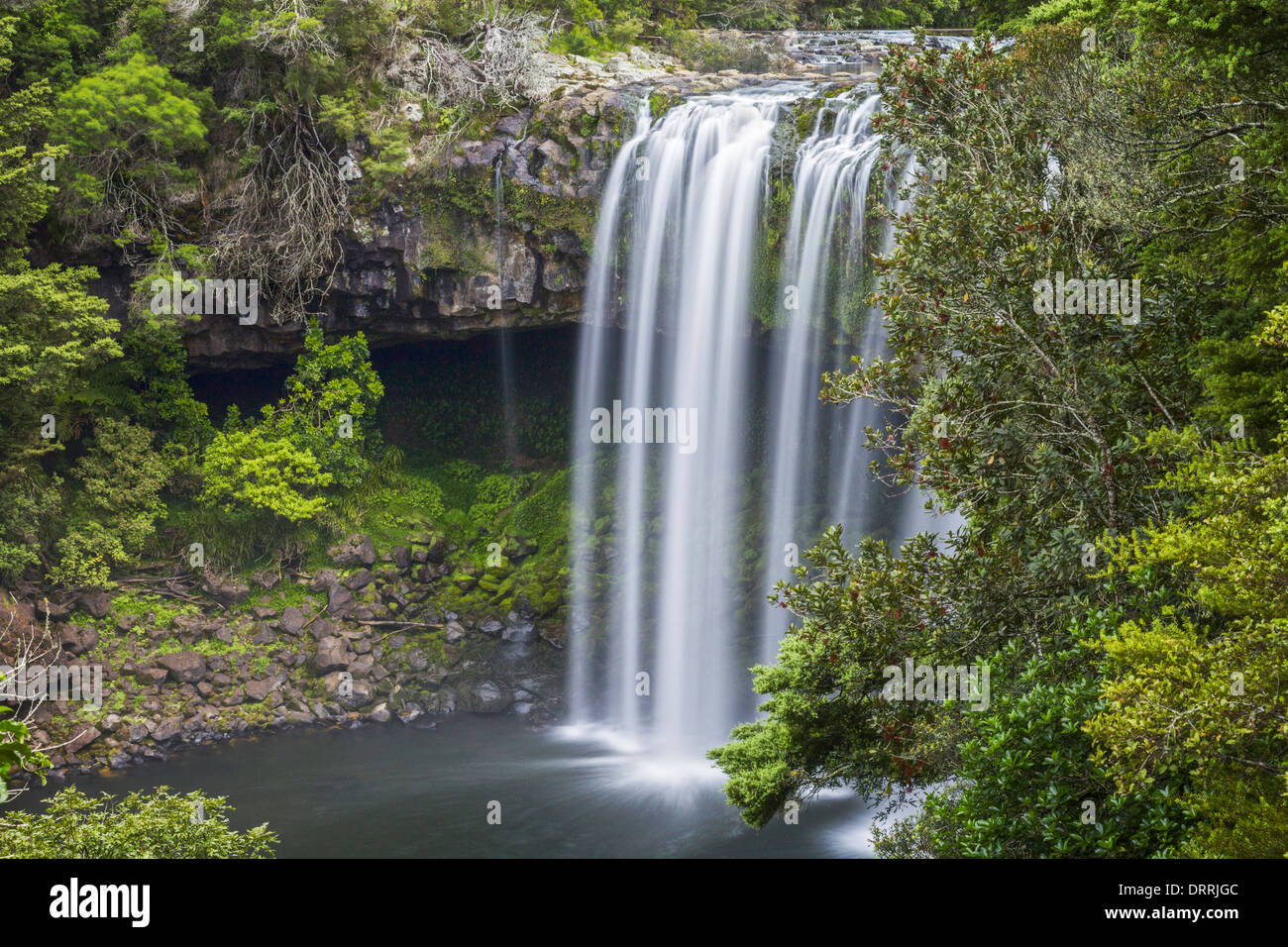 Rainbow Falls en el río Kerikeri, Northland, Nueva Zelanda. Foto de stock