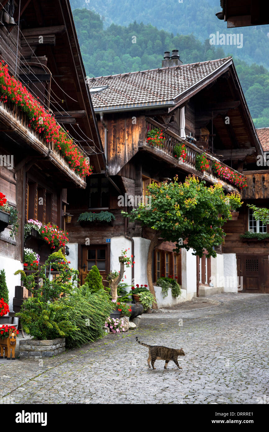 A lo largo de ronda Cat Brunngasse calle adoquinada con arquitectura del siglo XVIII, de Brienz en el Oberland bernés en Suiza Foto de stock