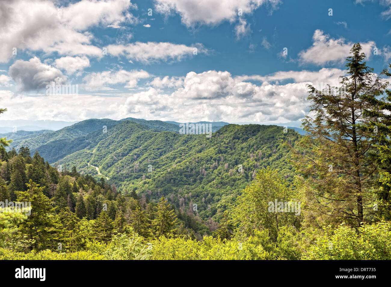 Great Smoky Mountains Foto de stock
