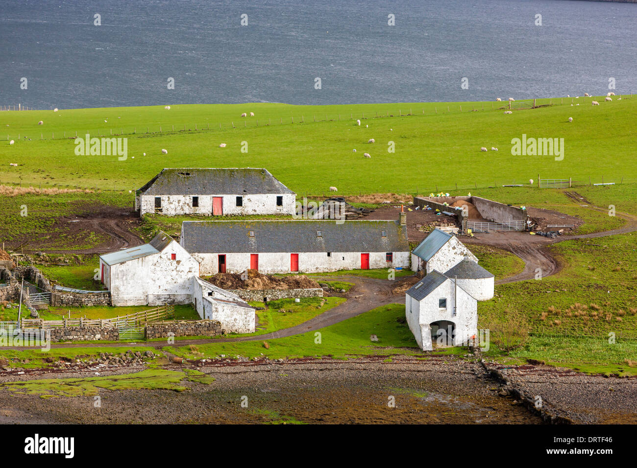 Casas rurales en un campo, Loch Harport, Isla de Skye, Inner Hebrides (Escocia, Reino Unido, Europa. Foto de stock