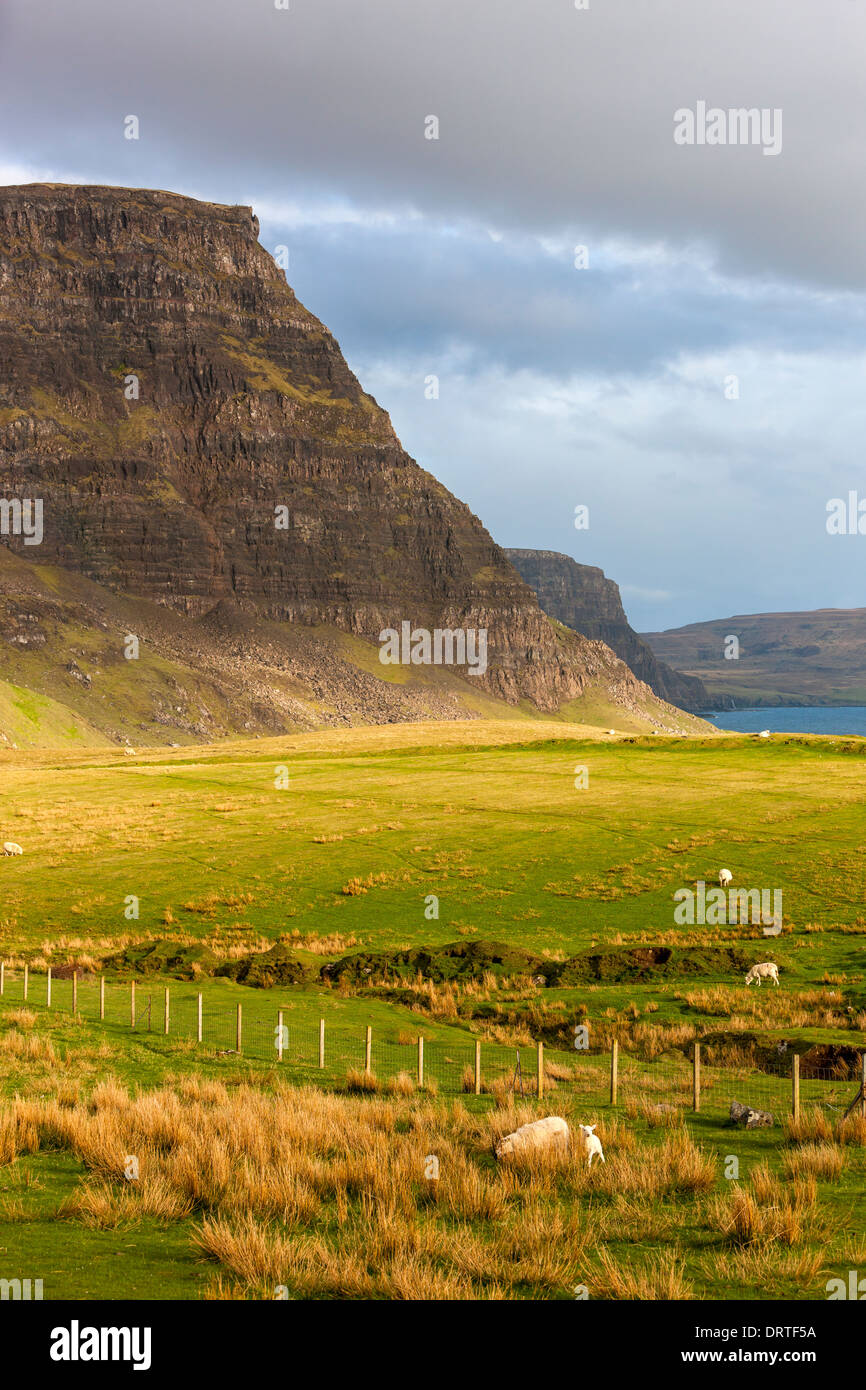 Una vista hacia Ramasaig Waterstein Head y acantilados, Moonen Bay, Isla de Skye, Inner Hebrides (Escocia, Reino Unido, Europa. Foto de stock
