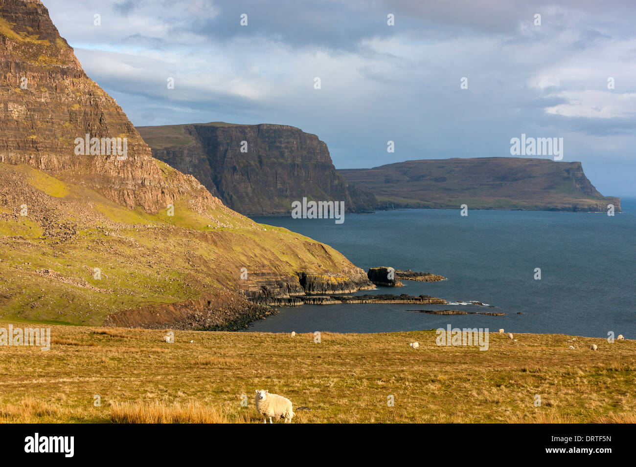 Una vista hacia Ramasaig Waterstein Head y acantilados, Moonen Bay, Isla de Skye, Inner Hebrides (Escocia, Reino Unido, Europa. Foto de stock