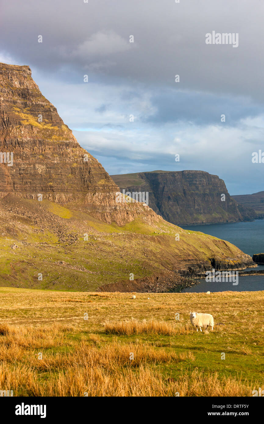 Una vista hacia Ramasaig Waterstein Head y acantilados, Moonen Bay, Isla de Skye, Inner Hebrides (Escocia, Reino Unido, Europa. Foto de stock