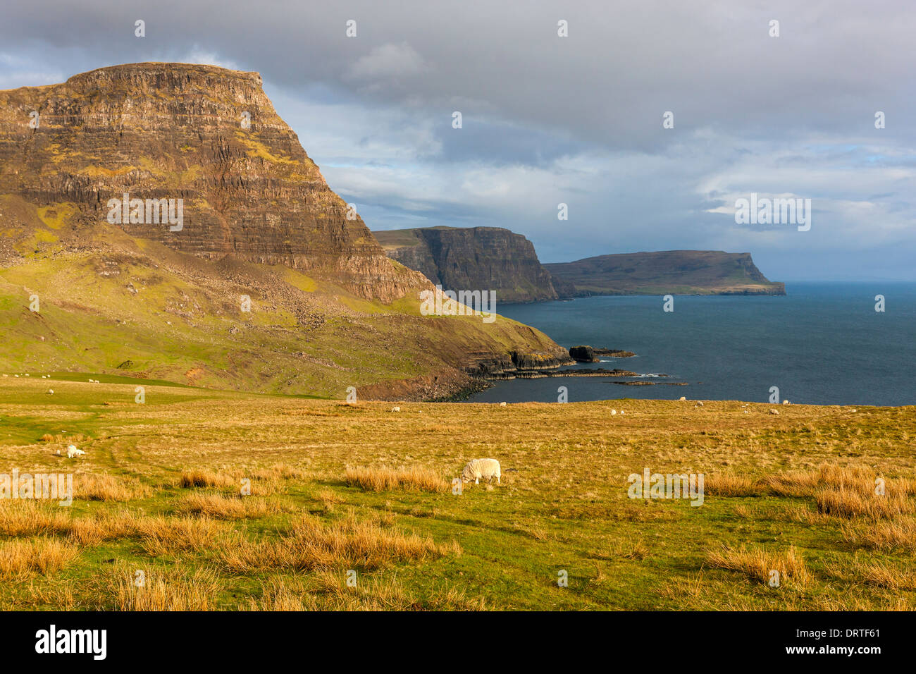 Una vista hacia Ramasaig Waterstein Head y acantilados, Moonen Bay, Isla de Skye, Inner Hebrides (Escocia, Reino Unido, Europa. Foto de stock