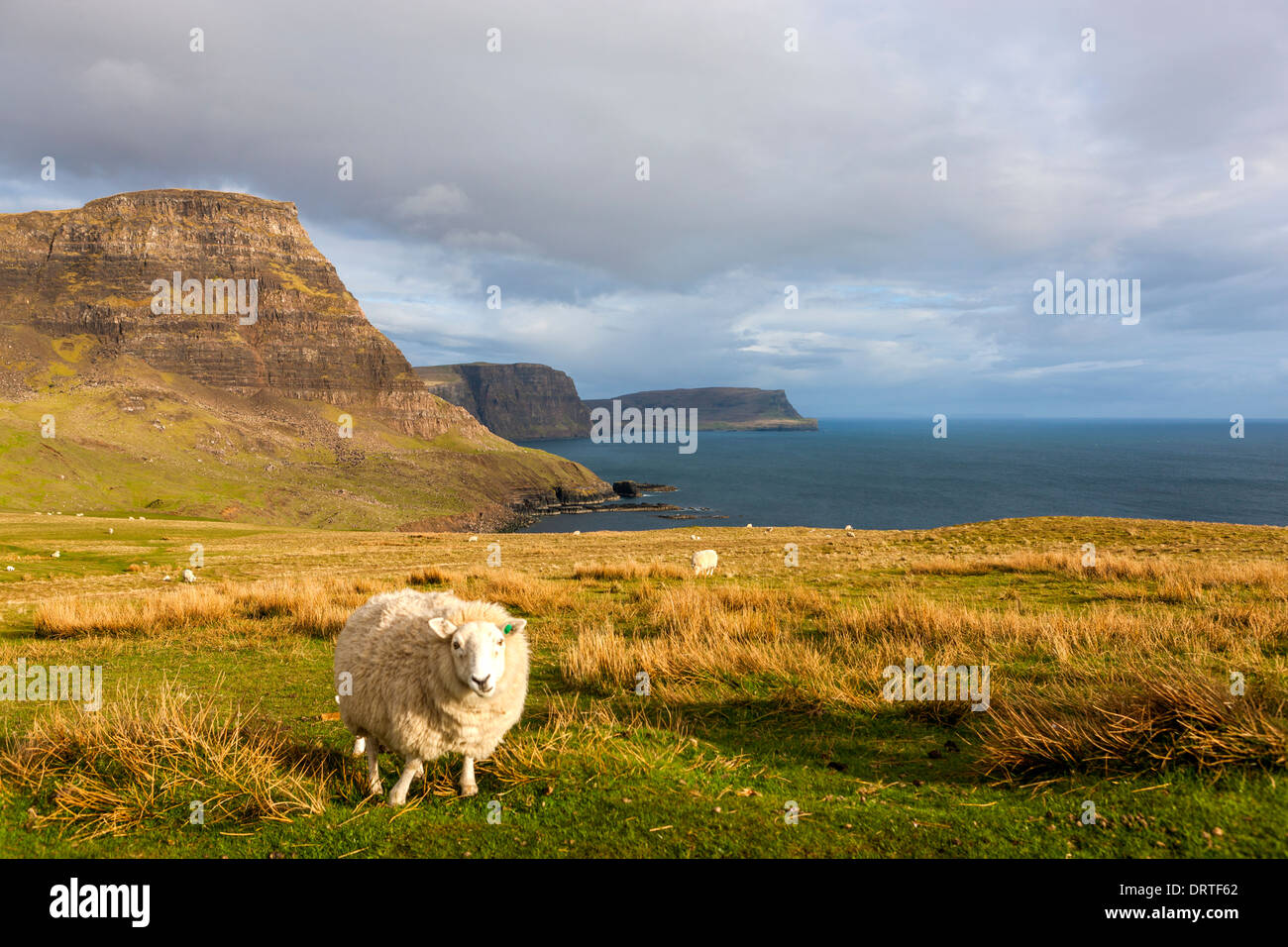 Una vista hacia Ramasaig Waterstein Head y acantilados, Moonen Bay, Isla de Skye, Inner Hebrides (Escocia, Reino Unido, Europa. Foto de stock