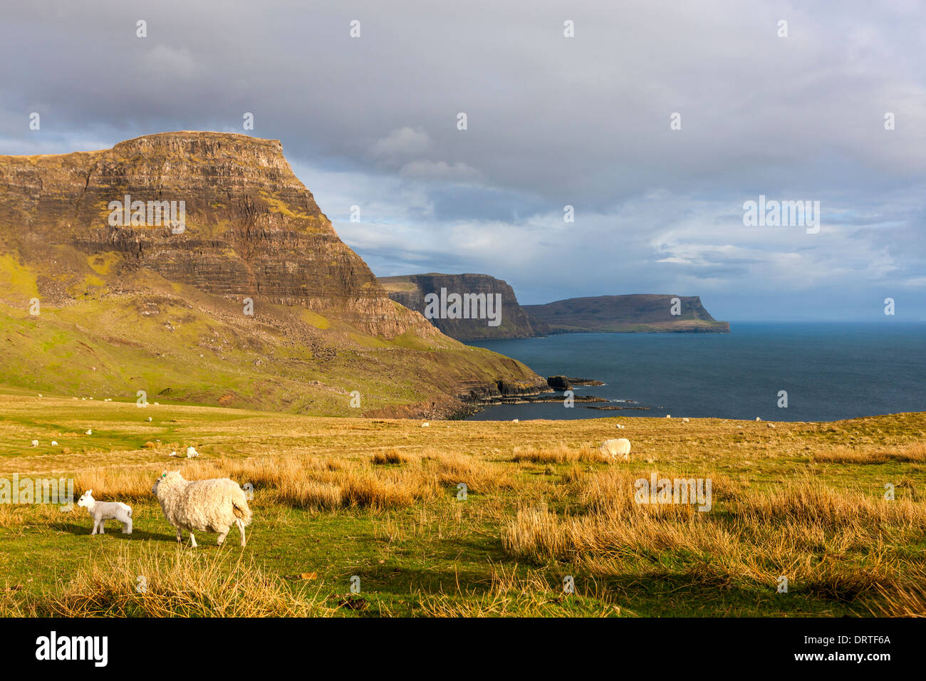 Una vista hacia Ramasaig Waterstein Head y acantilados, Moonen Bay, Isla de Skye, Inner Hebrides (Escocia, Reino Unido, Europa. Foto de stock