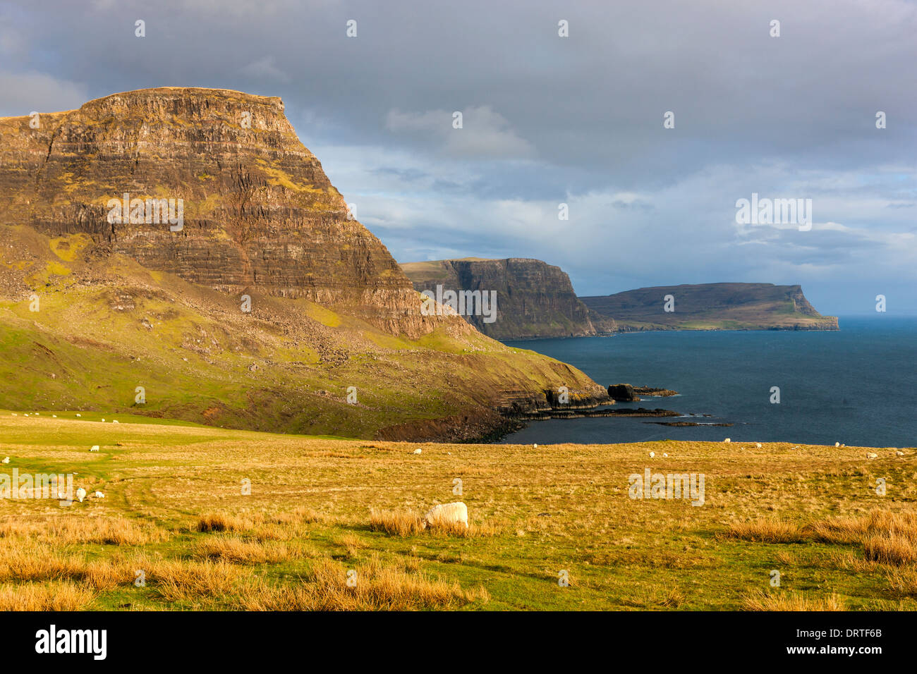 Una vista hacia Ramasaig Waterstein Head y acantilados, Moonen Bay, Isla de Skye, Inner Hebrides (Escocia, Reino Unido, Europa. Foto de stock