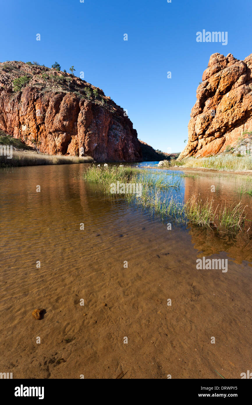 Glen Helen Waterhole Australia central cerca de Alice Springs, en rangos de Macdonnel Oeste Foto de stock