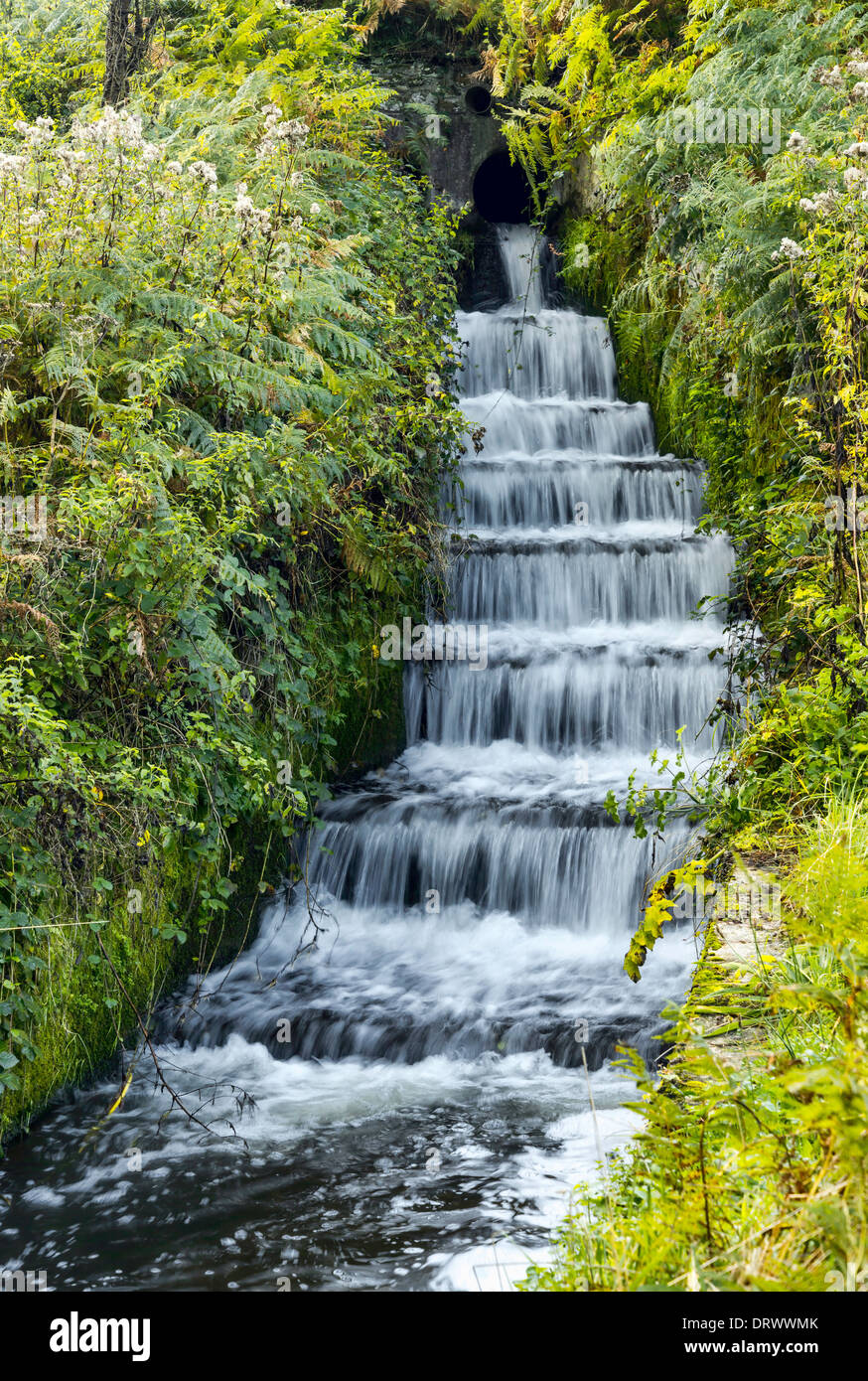El flujo de agua en Burton Mill Pond, West Sussex, Reino Unido Fotografía  de stock - Alamy