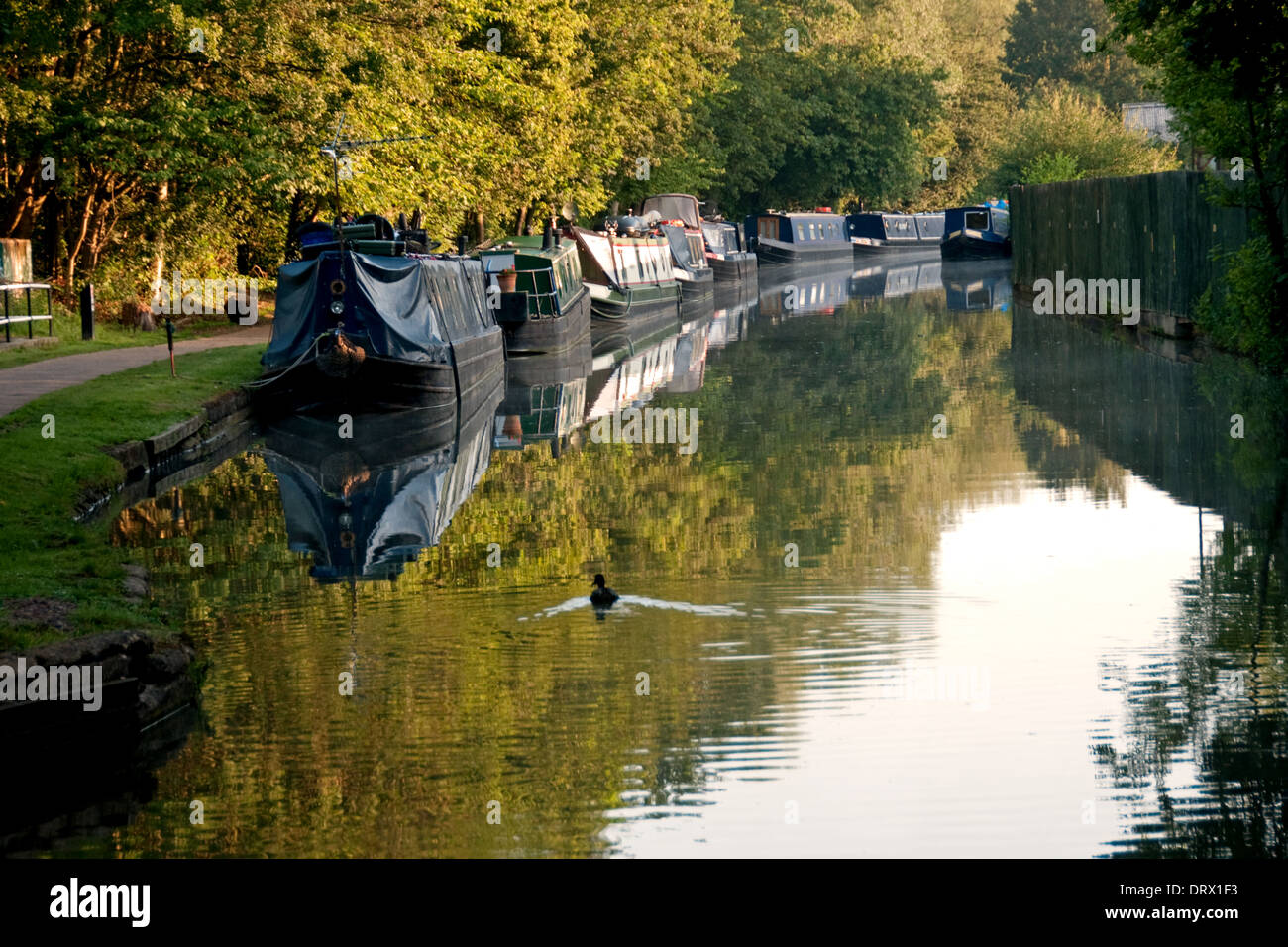 Canal de Oxford y estrechos botes amarrados Foto de stock