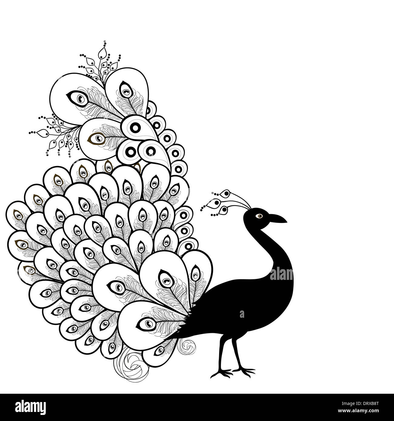 Dibujo de pavo real Imágenes recortadas de stock - Alamy Dibujo de pavo real Imágenes recortadas de stock - Alamy