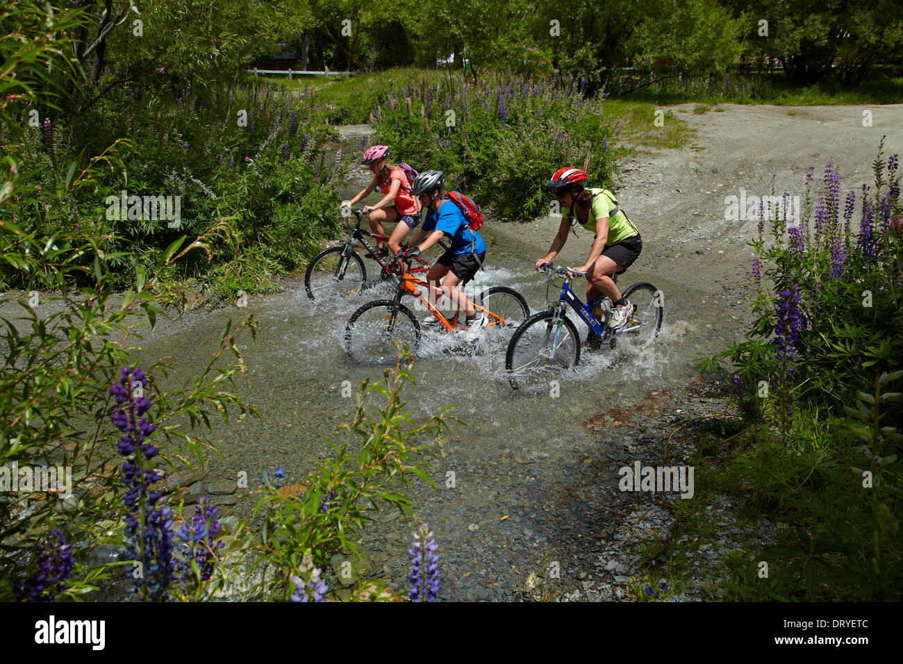 Los ciclistas de montaña cruzando por la corriente del río Arrow, Flecha Río puentes Ride, Arrowtown, Otago, Isla del Sur, Nueva Zelanda Foto de stock