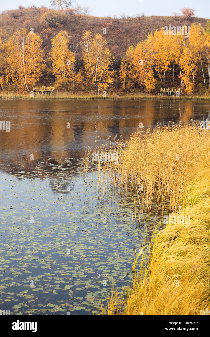 El escenario del lago en otoño Foto de stock