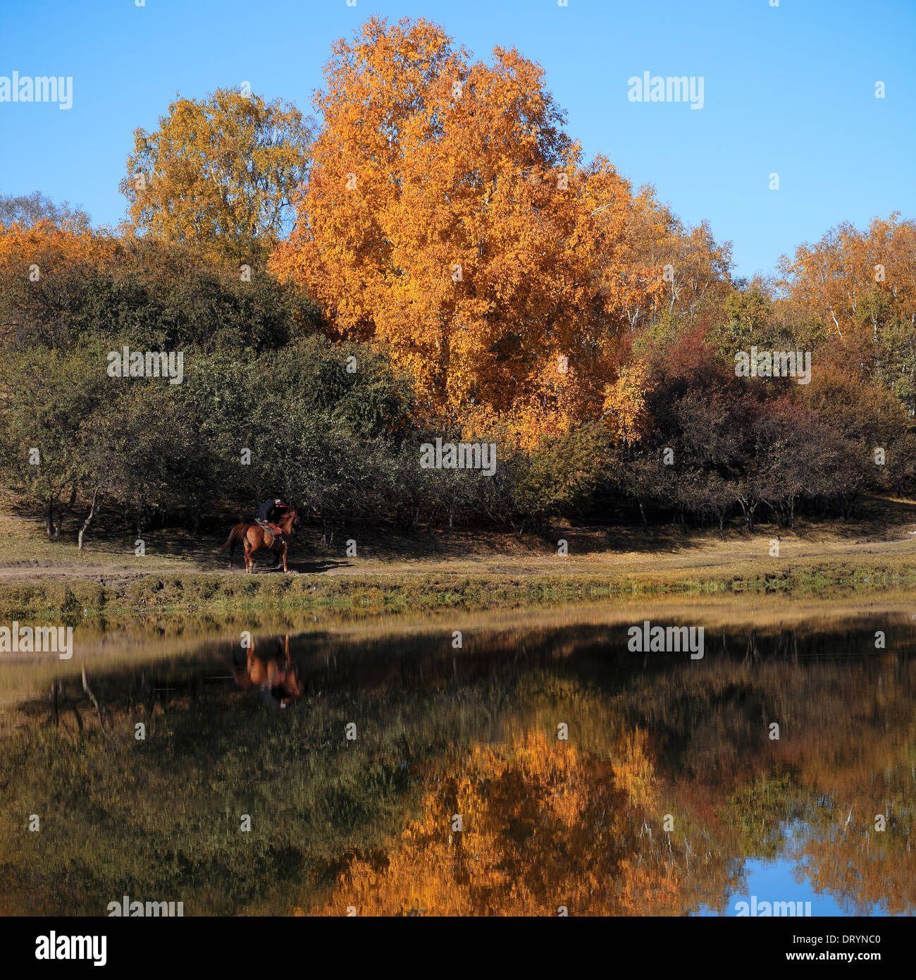 El paisaje del otoño en el lago Foto de stock