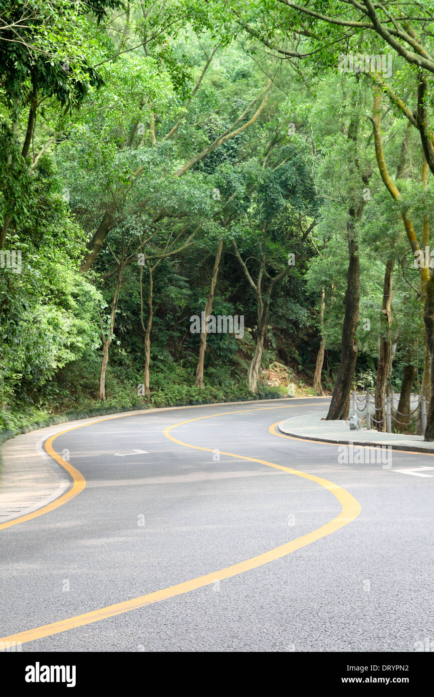 Carretera curvada con árboles Foto de stock