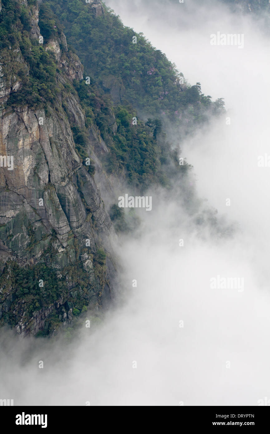 Niebla flotando en el valle Foto de stock