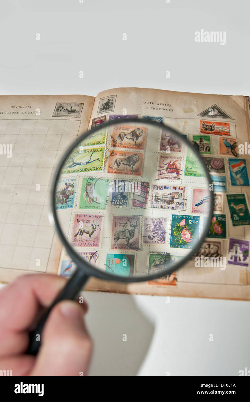 Filatelia hobby. Collector utiliza una lupa para ver sus sellos de  Sudáfrica desde los 60's Fotografía de stock - Alamy