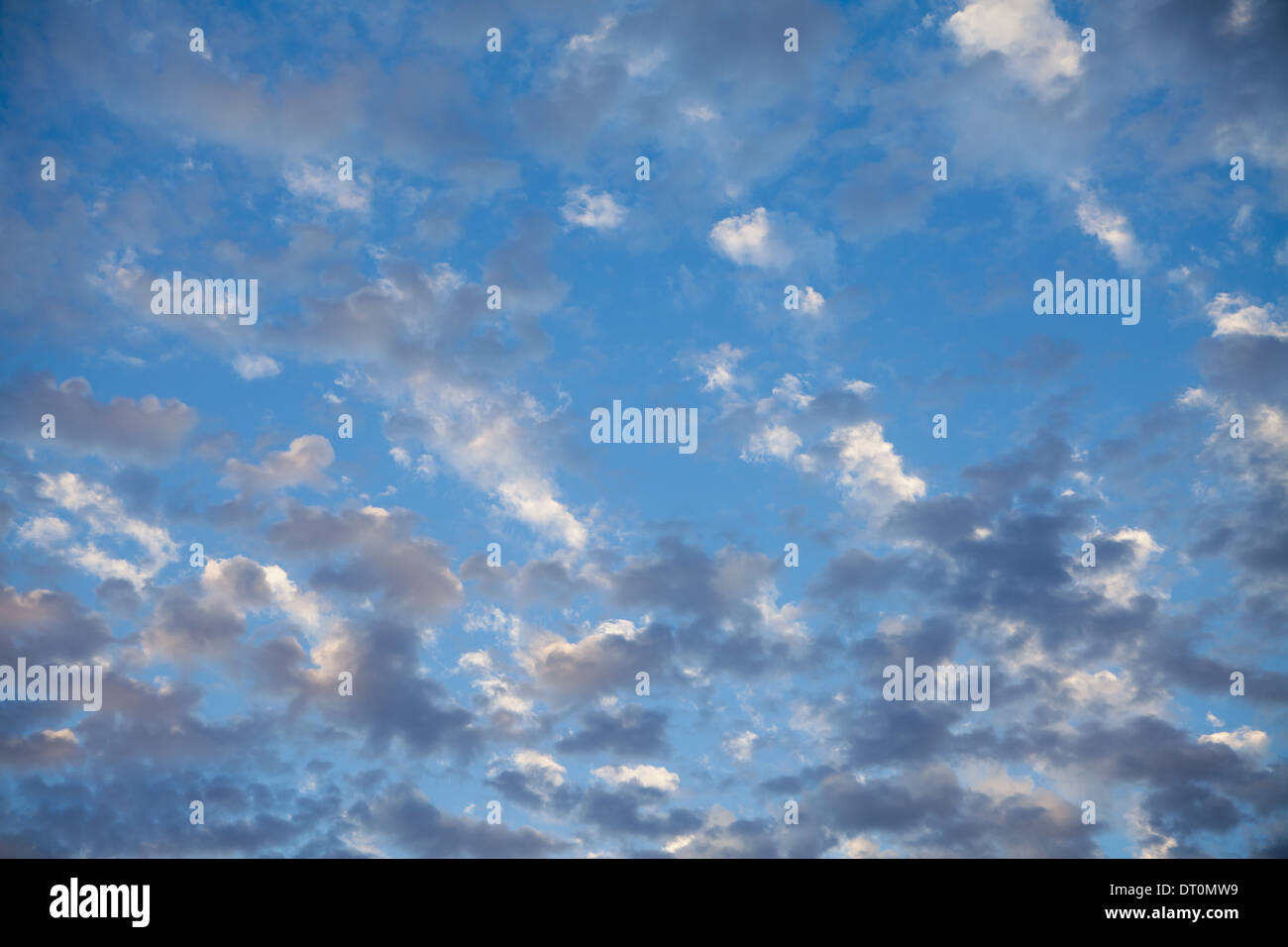 Seattle, Washington, EE.UU. tenues nubes en el cielo azul llegando el anochecer Seattle, EE.UU. Foto de stock