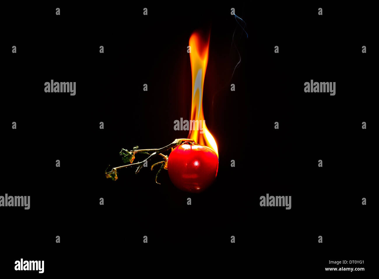 Tomate, fuego, quema de jitomate, tomate caliente Foto de stock