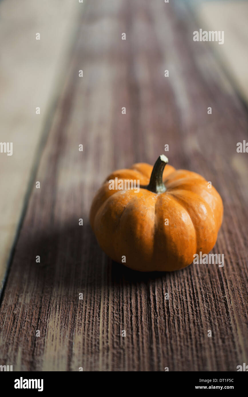 Una calabaza pequeña redonda o squash vegetal con una piel de naranja brillante sobre una mesa de madera Foto de stock