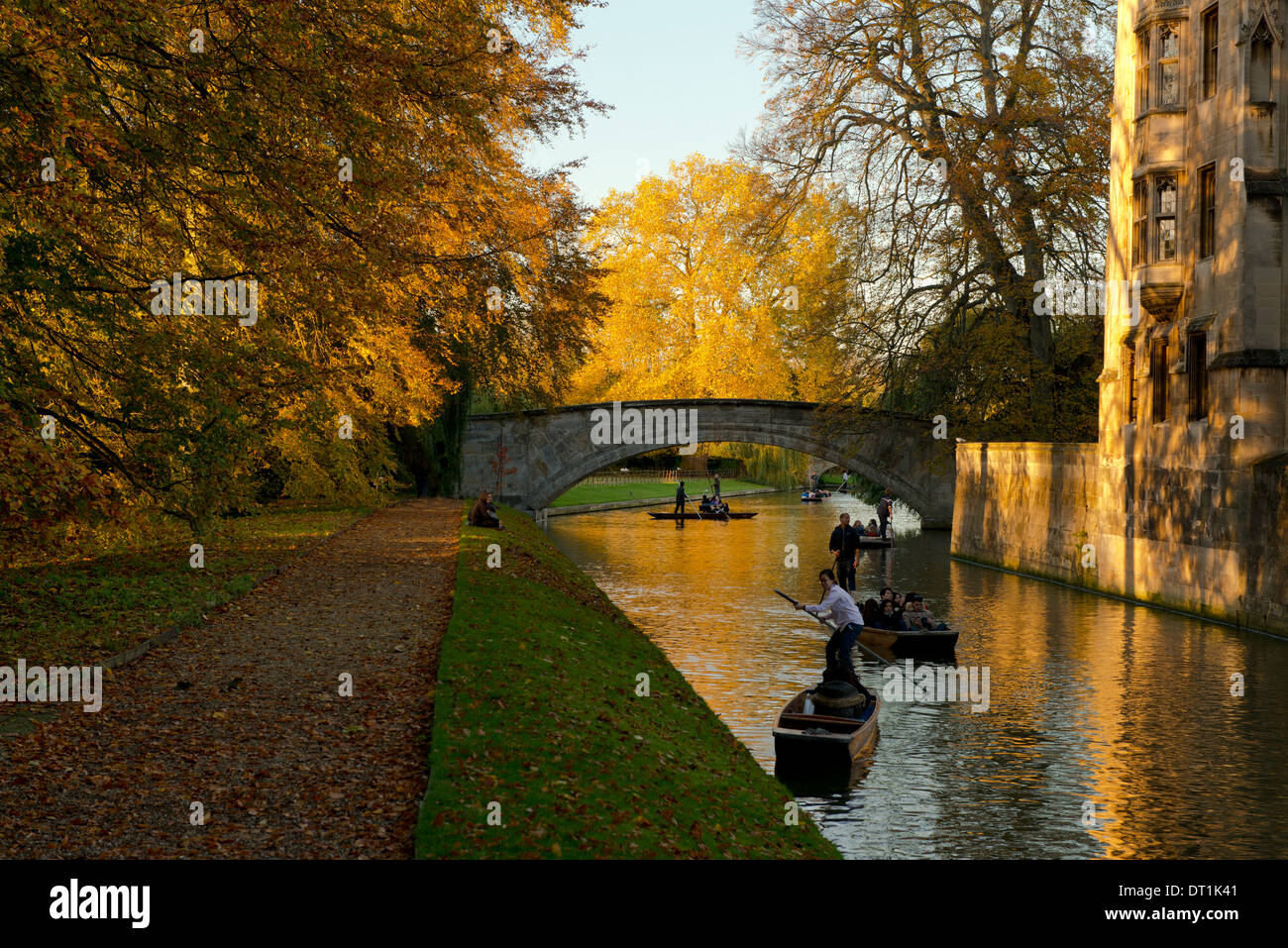 Punts en la leva en un día de otoño, Cambridge, Cambridgeshire, Inglaterra, Reino Unido, Europa Foto de stock