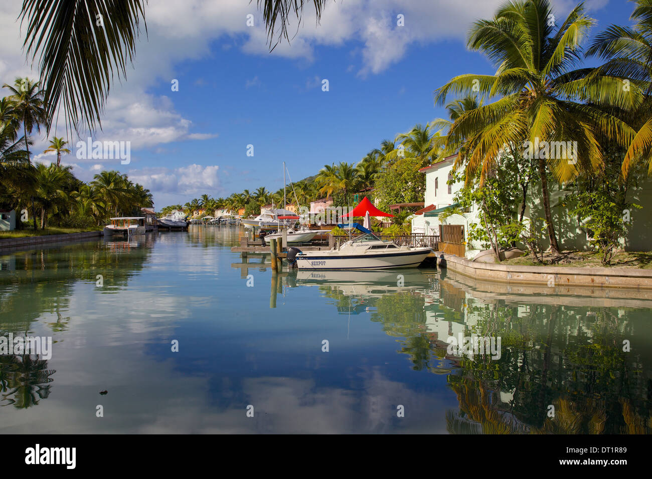 Marina, Jolly Harbour, a Santa María la Antigua, Islas de Sotavento, Antillas, Caribe, América Central Foto de stock