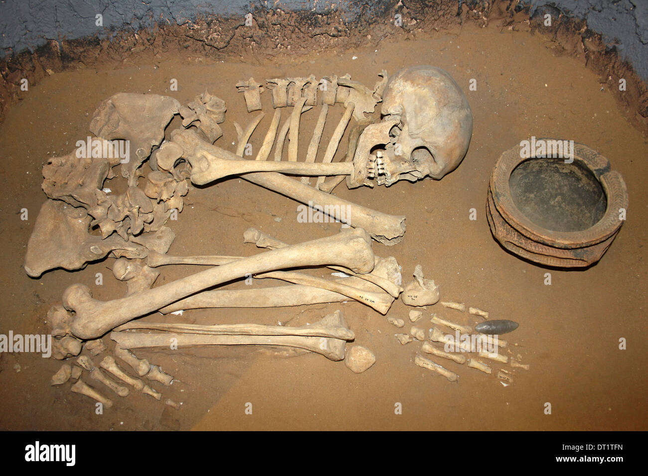 Plaza de la Edad de Hierro Reguera Barrow Entierro mostrando el esqueleto tumbado sobre el lado izquierdo en posición agachada Foto de stock