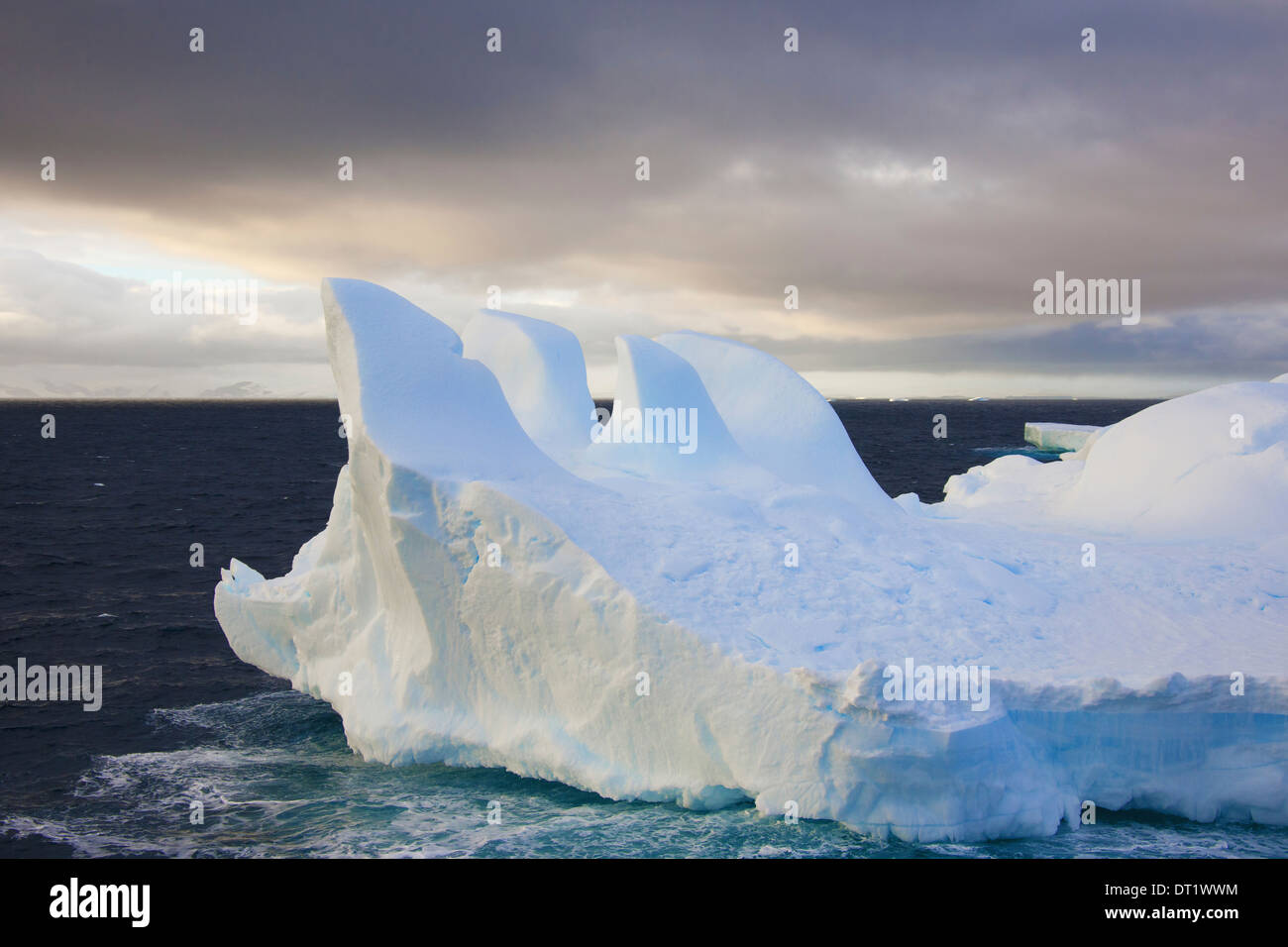 Icebergs flotando en el océano austral Antártico erosionada por el viento y el clima creando formas interesantes Foto de stock