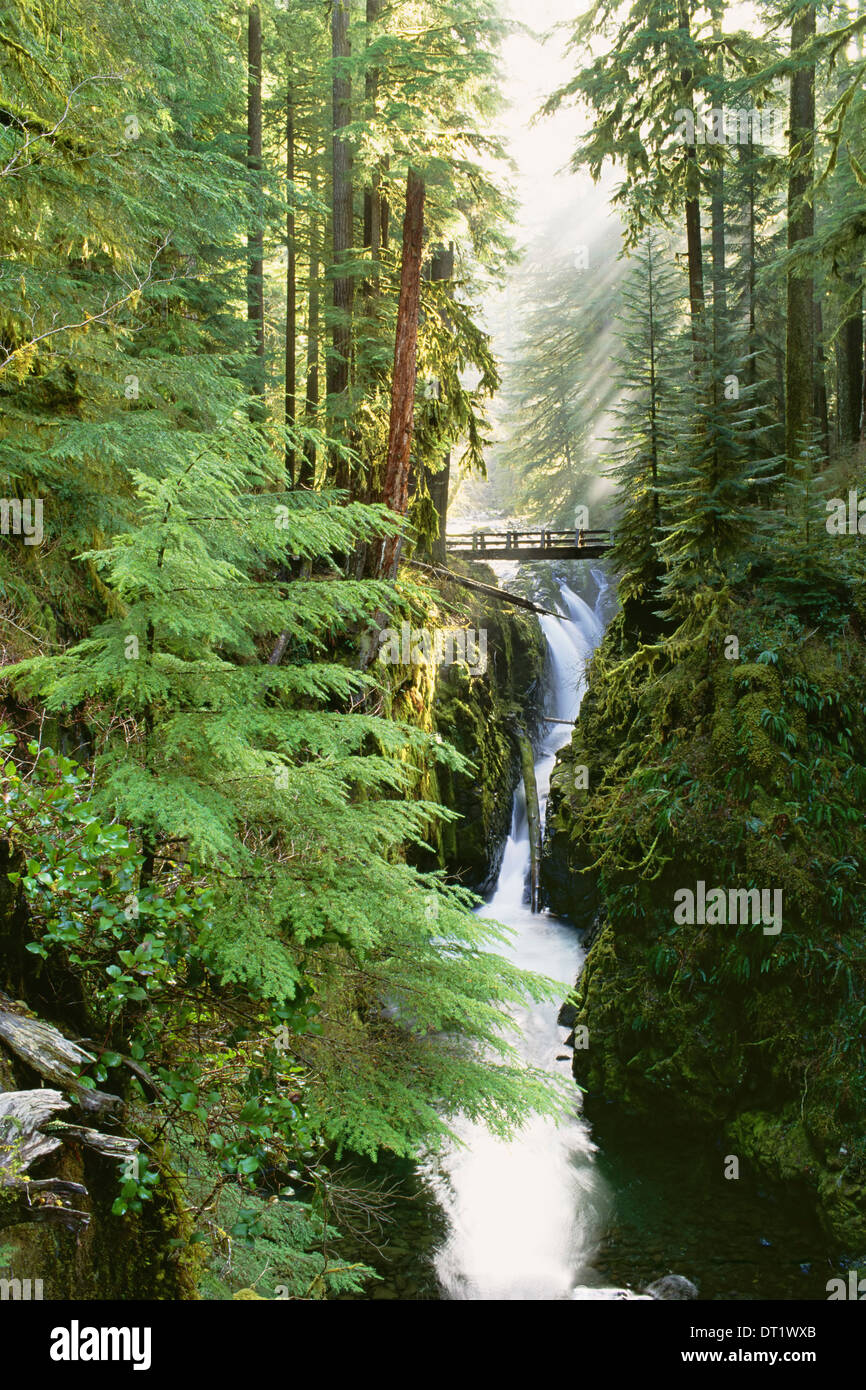 Las caídas son Sol Duc en el bosque del Parque Nacional Olímpico el estado de Washington Foto de stock