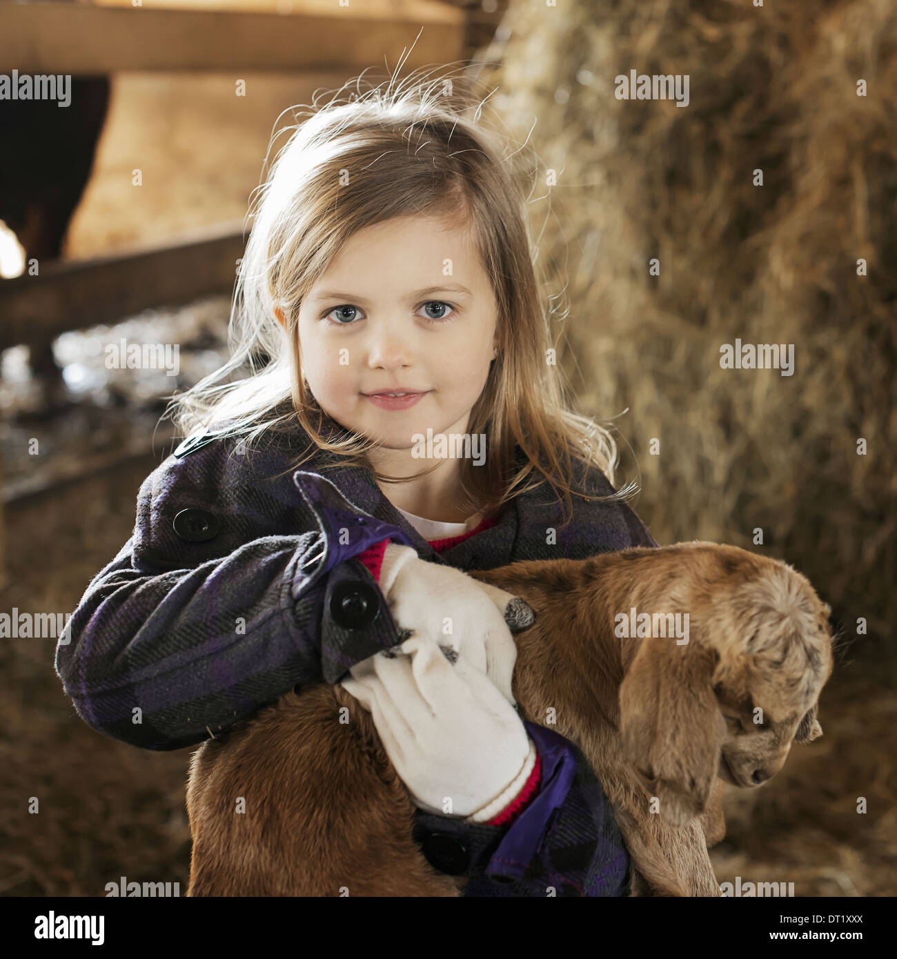 Un niño en el animal derramada holding y acariciar a un bebé de cabra Foto de stock