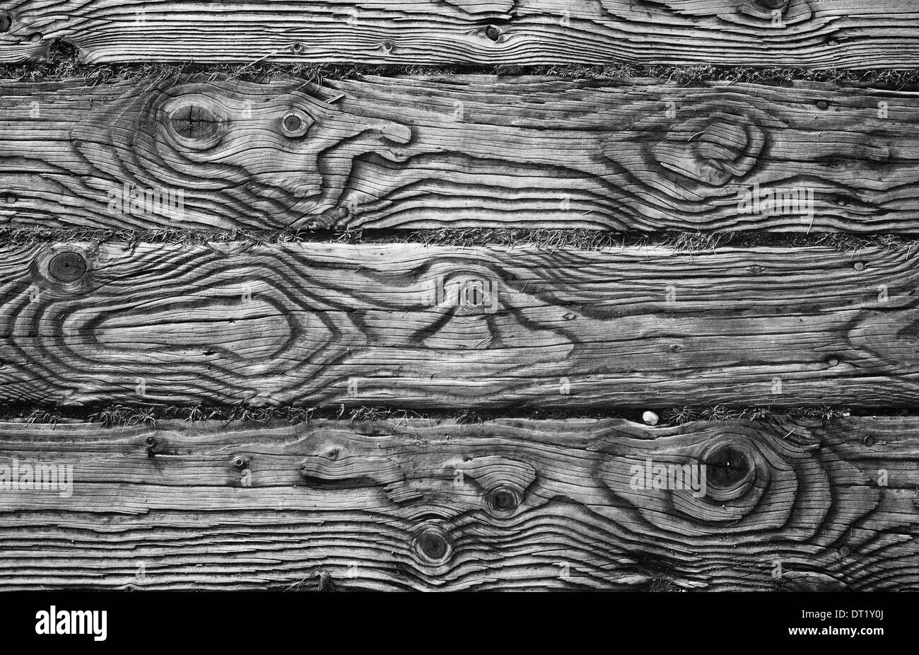El patrón de grano en los tablones de madera de un paseo. Foto de stock