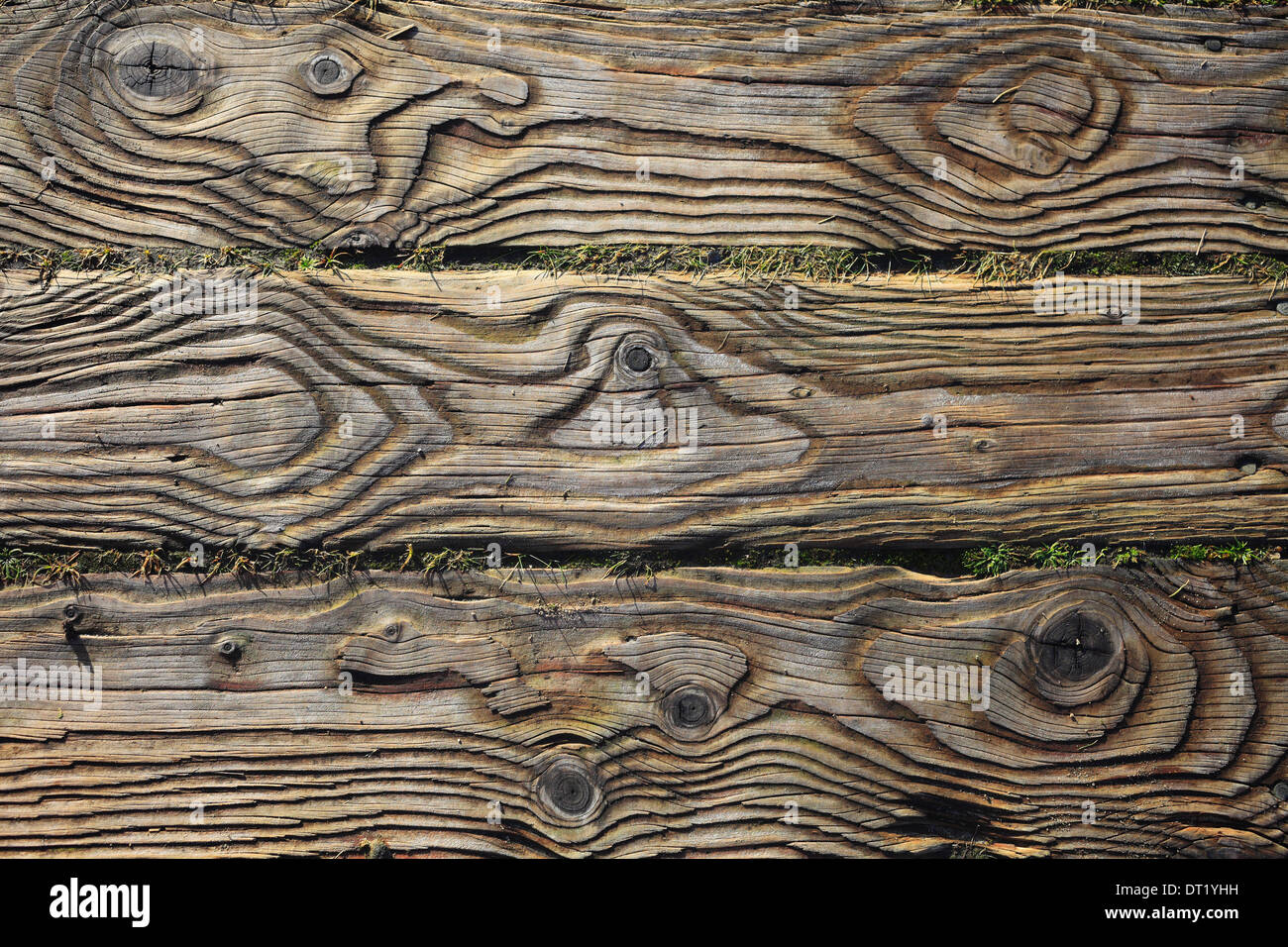 El patrón de grano en los tablones de madera de un paseo. Foto de stock
