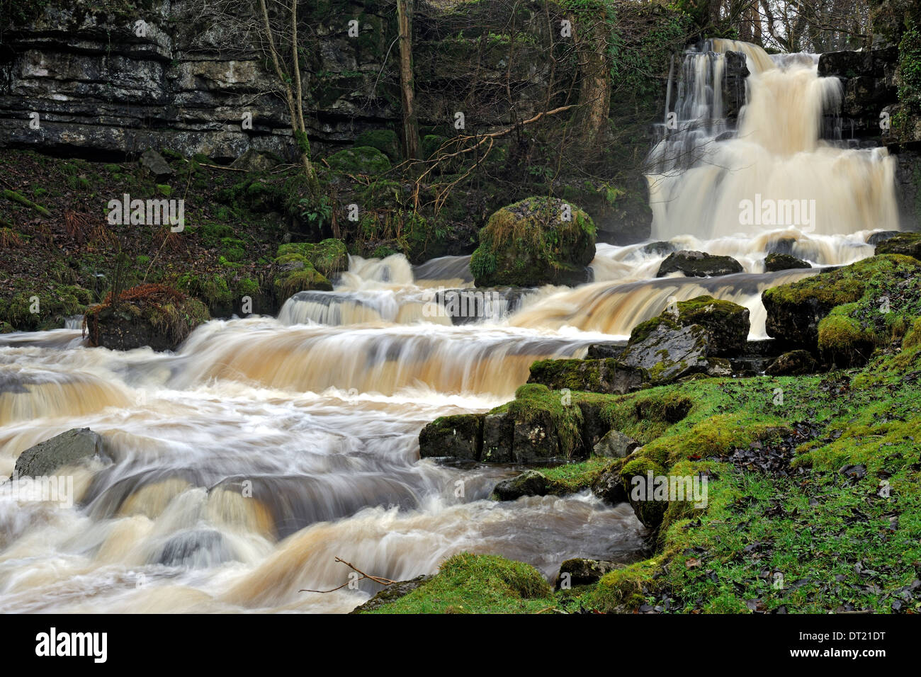 Cliff Beck, una cascada escalonada cerca de Thwaite, Yorkshire Dales National Park, Inglaterra Foto de stock