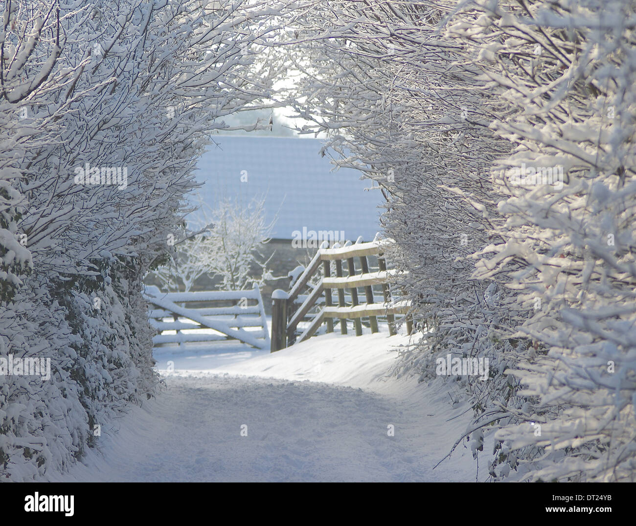 Winter Wonderland - Carril del país nevado Foto de stock