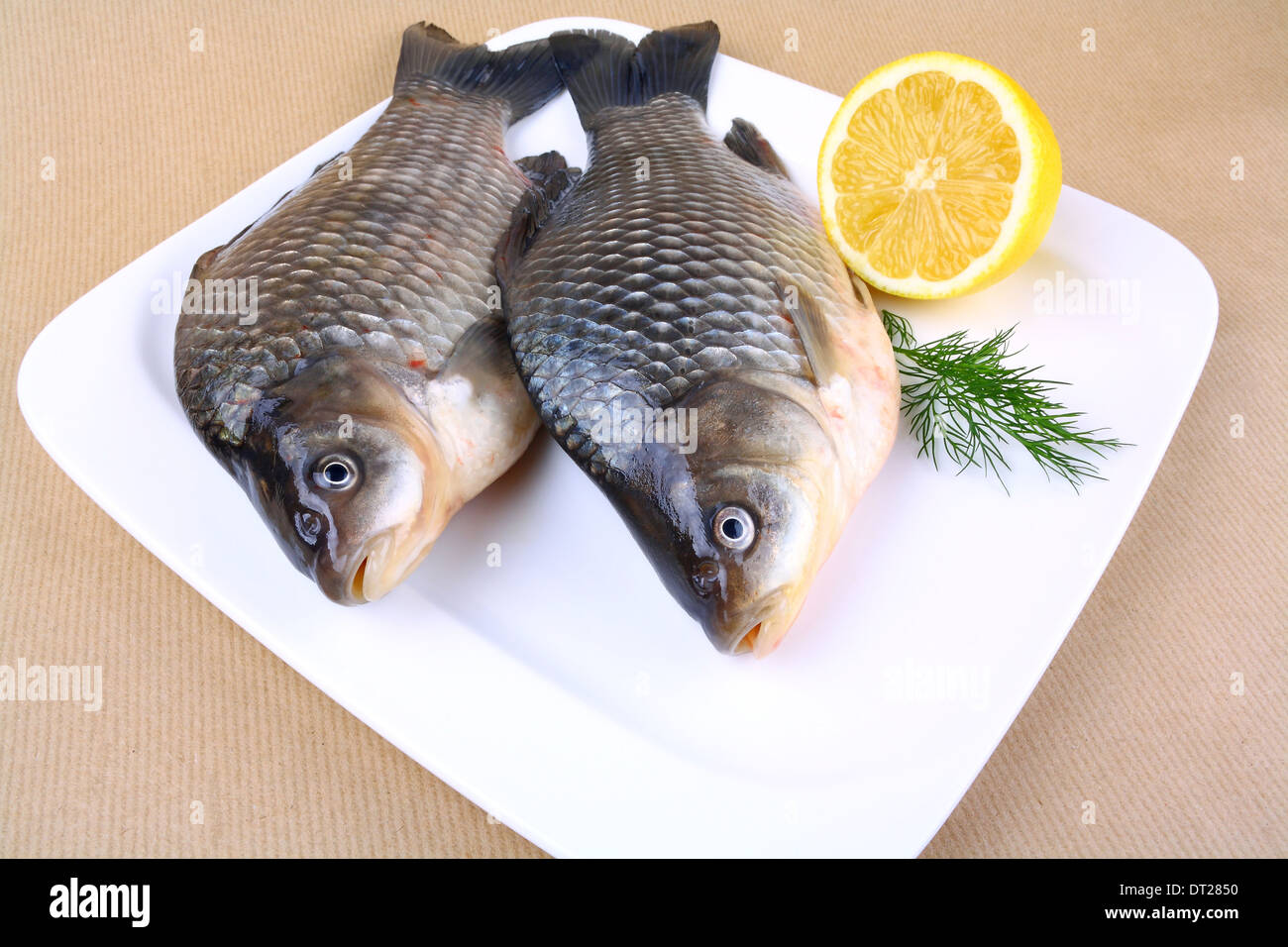 Dos nuevos carp sobre placa blanca con limón, vista superior Foto de stock