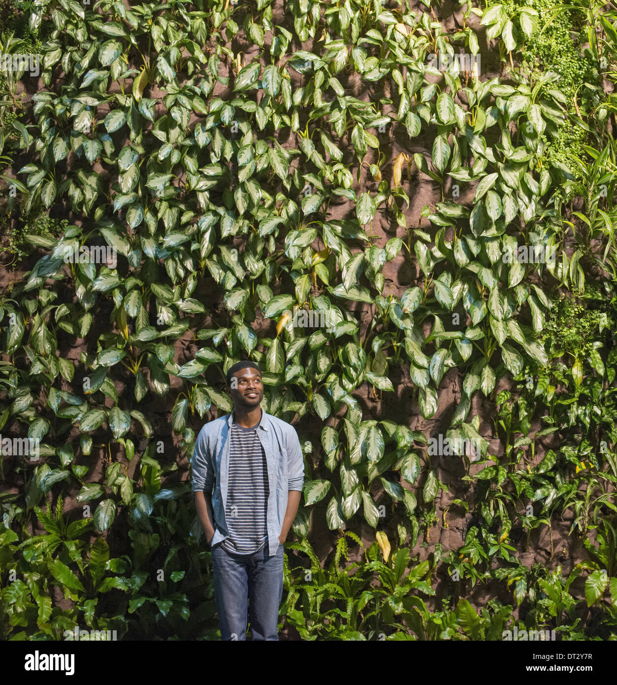 Plantas Trepadoras En Pared De Roca Volcánica Fotos, retratos, imágenes y  fotografía de archivo libres de derecho. Image 73592405