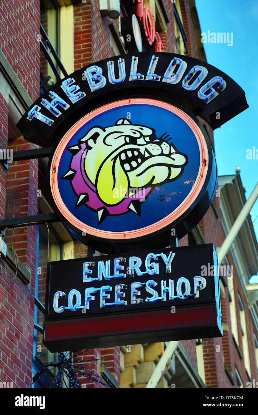 Bulldog coffeeshop firme donde se venden drogas como marihuana legalmente en Amsterdam, Holanda Foto de stock