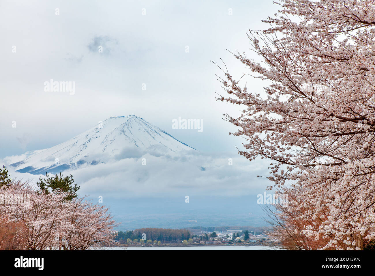 El hermoso paisaje del monte Fuji y cerezos en flor en primavera, Japón Foto de stock